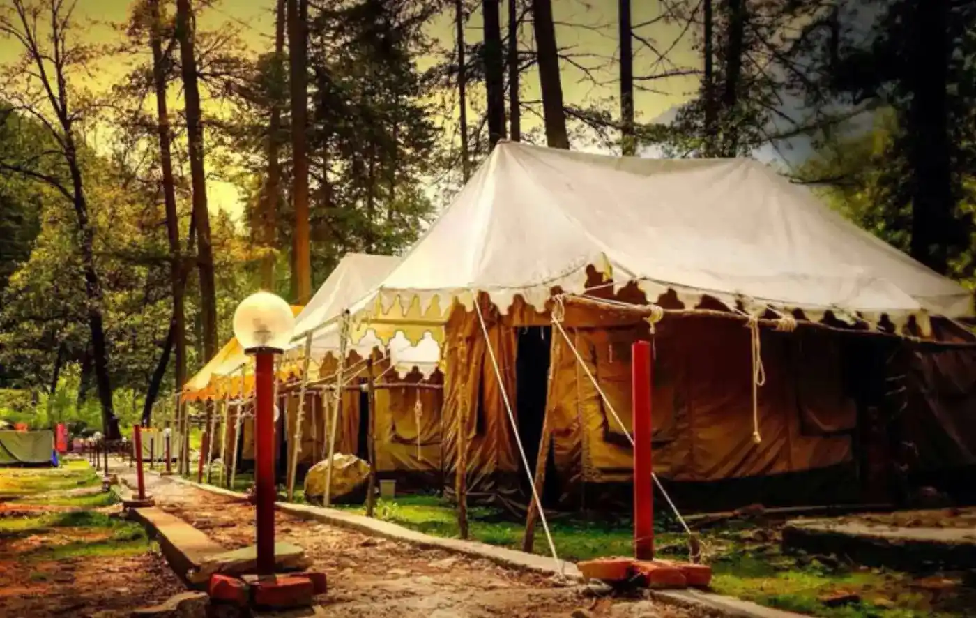 Tented camping in a forest with pathway and lighting.